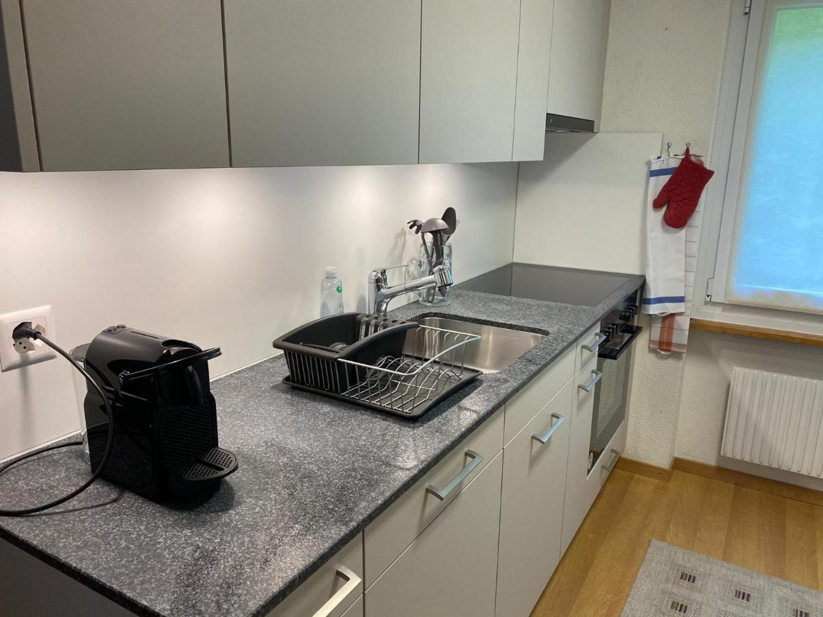 Superior Apartment 100M2 Bodmisonne - جريندلوالد المظهر الخارجي الصورة